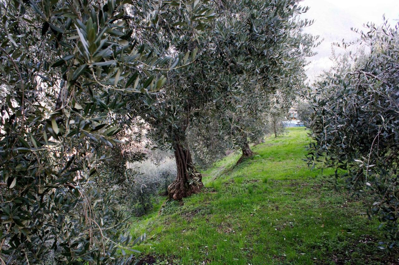 מארונה Magic On The Lake - Panoramic חדר תמונה